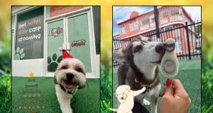 Inauguran negocio dirigido a consentir a las mascotas