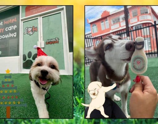 Inauguran negocio dirigido a consentir a las mascotas