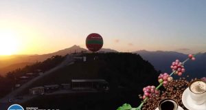 Jayuya celebrará primera Fiesta Hijos del Cafetal