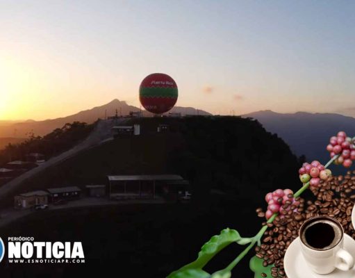 Jayuya celebrará primera Fiesta Hijos del Cafetal