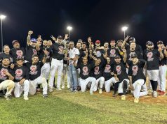Leones de Patillas ganan la Copa de Campeones en el béisbol AA