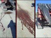 PIP solicita investigación sobre transporte de residuos animales hacia vertedero en Ponce