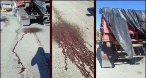 PIP solicita investigación sobre transporte de residuos animales hacia vertedero en Ponce