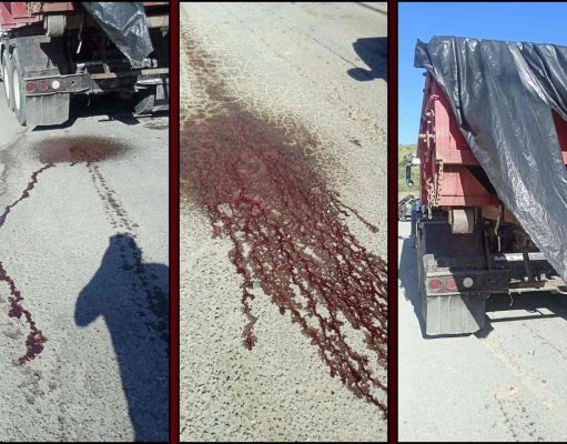 PIP solicita investigación sobre transporte de residuos animales hacia vertedero en Ponce