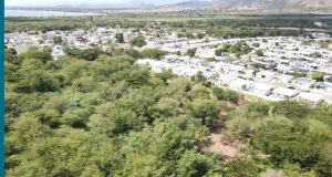 Insisten en la creación de la Reserva Natural Abey en Salinas ante posibles desarrollos