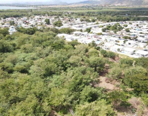 Insisten en la creación de la Reserva Natural Abey en Salinas ante posibles desarrollos