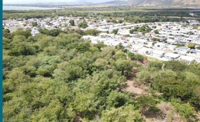 Reserva Natural Abey en Salinas