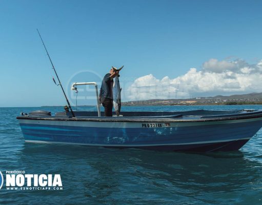 DRNA expidió 263 licencias para pesca comercial en los pasados ocho meses