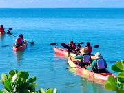 Municipio de Salinas lanza su nueva página web