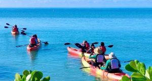 Municipio de Salinas lanza su nueva página web