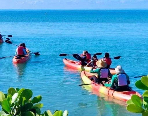 Municipio de Salinas lanza su nueva página web