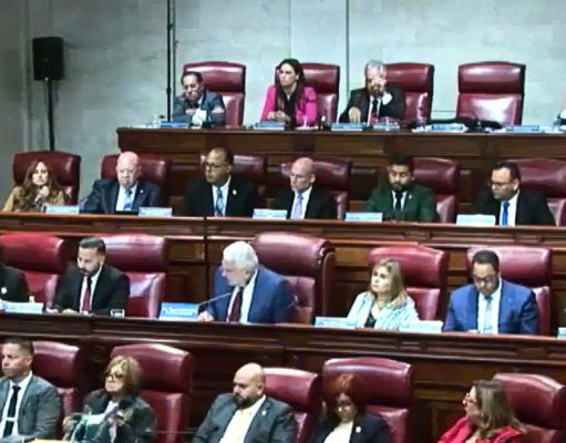 Rivera Schatz: «Ojalá que nadie haya aquí utilizado su poder para lucro personal”