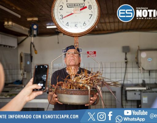 Agricultura anuncia ‘La Ruta del Pescado’ en apoyo a las villas pesqueras