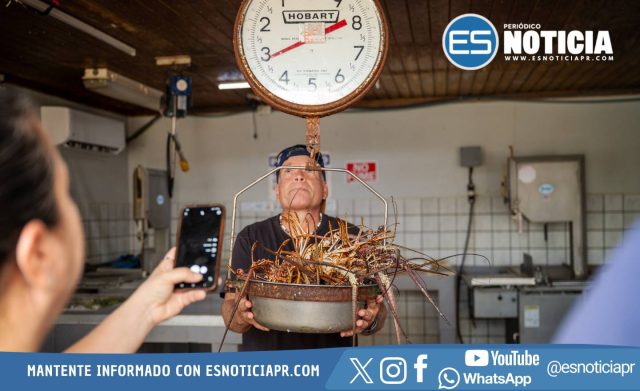 Villa Pesquera Ponce 1