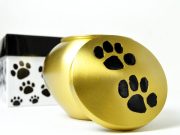 Presentan legislación para enterrar cenizas de mascotas junto a sus dueños