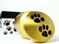 Presentan legislación para enterrar cenizas de mascotas junto a sus dueños