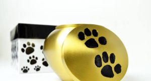 Presentan legislación para enterrar cenizas de mascotas junto a sus dueños