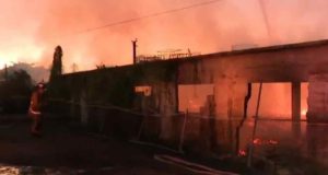 Voraz incendio consume planta recicladora de paletas en Dorado