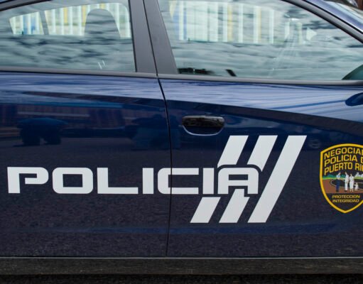 Accidente con animal vacuno obliga al cierre de la Ruta 66