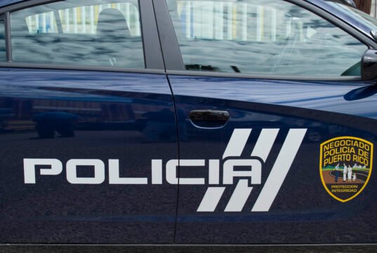 Accidente con animal vacuno obliga al cierre de la Ruta 66