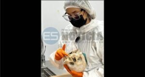 Identifican cuerpos hallados calcinados en Arecibo
