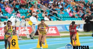 Todo listo para el Festival de la LAI