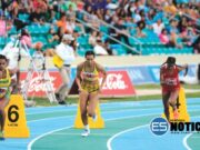 Todo listo para el Festival de la LAI