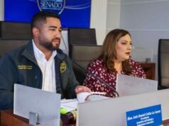 Senado evalúa medidas sobre desempleo, cannabis medicinal y protección laboral