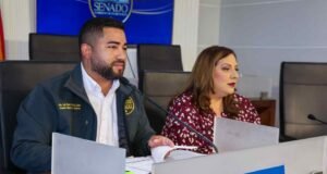 Senado evalúa medidas sobre desempleo, cannabis medicinal y protección laboral