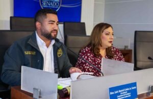Senado evalúa medidas sobre desempleo, cannabis medicinal y protección laboral