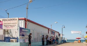 Pescadores se las ingenian para tener pescado fresco a la venta