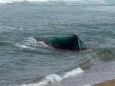 Autoridades buscan grupo de migrantes que desembarcó en costa de Hatillo