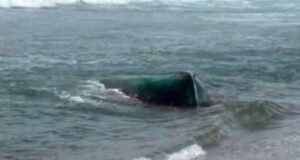 Autoridades buscan grupo de migrantes que desembarcó en costa de Hatillo