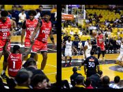 Leones caen en Arecibo pese a sólido esfuerzo ofensivo