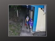 Policía interviene con malhechores que robaban en escuela