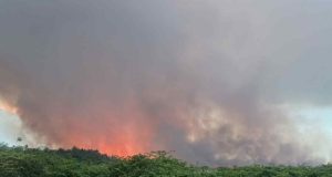 Fuego forestal arrasa más de 70 cuerdas en Vega Baja durante el fin de semana