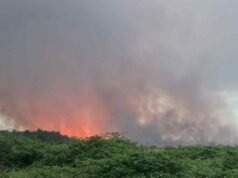 Sequía eleva riesgo de incendios forestales en el sur
