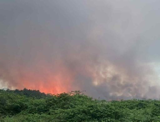 Sequía eleva riesgo de incendios forestales en el sur