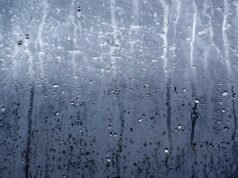 Calor, humedad y lluvias aisladas para hoy, lunes