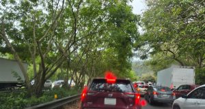 Cierran un carril en la PR-54 por incidente con camión