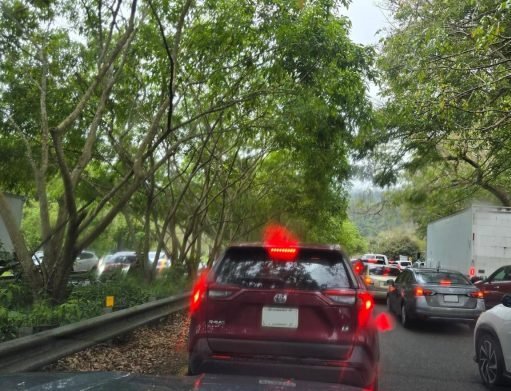 Peatón muere tras ser impactado por vehículo en la PR-22