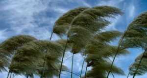 Mucho viento y condiciones marinas peligrosas para hoy, lunes