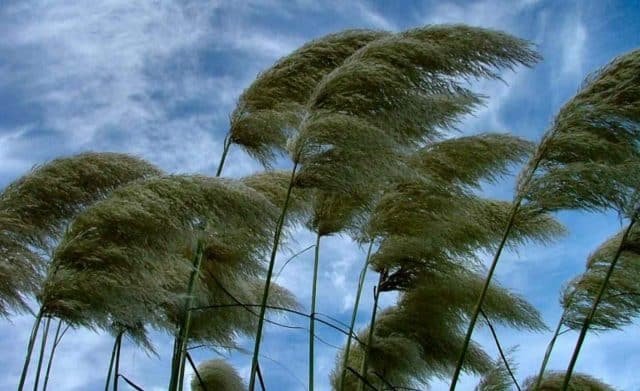 viento tiempo