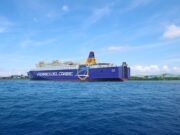 A salvo el CEO de Ferries del Caribe tras accidente aéreo