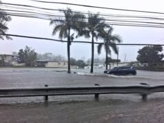 Grito de auxilio para la PR-2 en Hormigueros