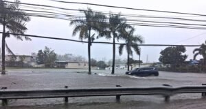Grito de auxilio para la PR-2 en Hormigueros