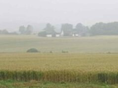 Polvo del Sahara se asienta mientras continúan períodos de lluvia