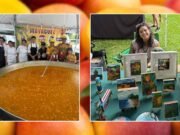 Festival del Mango 2026 buscará consolidar la cultura de Mayagüez