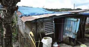 Región de Ponce lidera la cantidad de familias que reciben el PAN