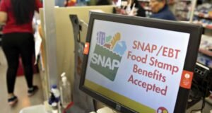 Continúa en negociación la inclusión de Puerto Rico en el programa SNAP federal
